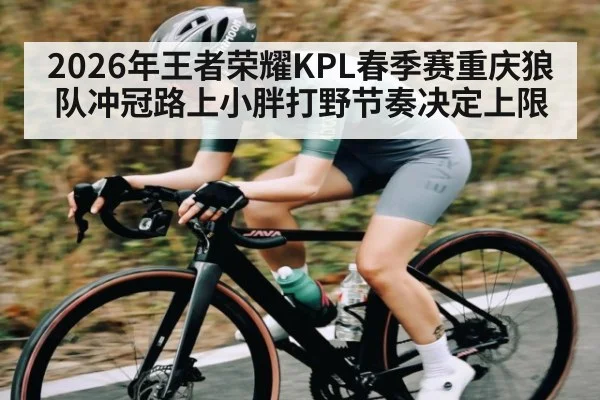 2026年王者荣耀KPL春季赛重庆狼队冲冠路上小胖打野节奏决定上限